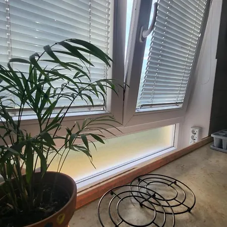 Apartma_samy Appartement *